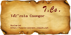 Tézsla Csongor névjegykártya
